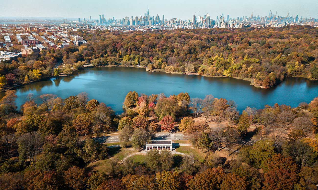 Prospect Park Dog Beach